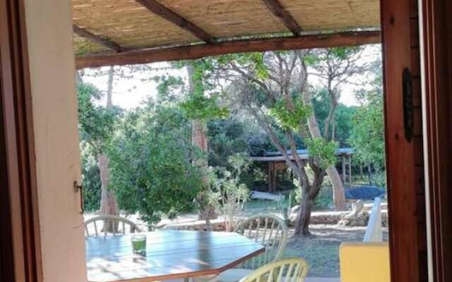 Lovely Groundfloor Terraced House