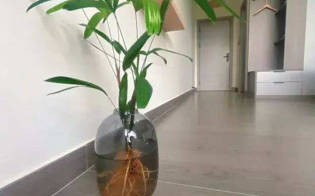 Tonglu Shumian Homestay (Heartbeat Paradise Yaolin Wonderland Store)