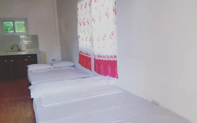 The Pelicans Castaway