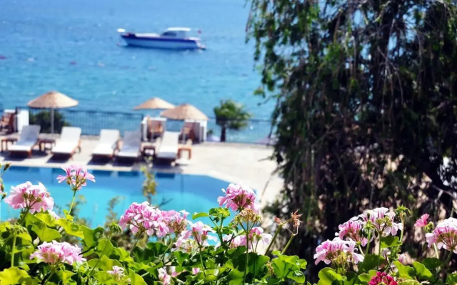 Omar Hotel & Suites
