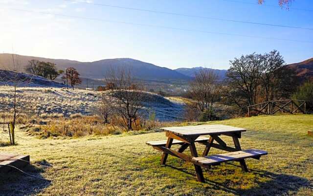 Cosy Rowan woodland lodge no1