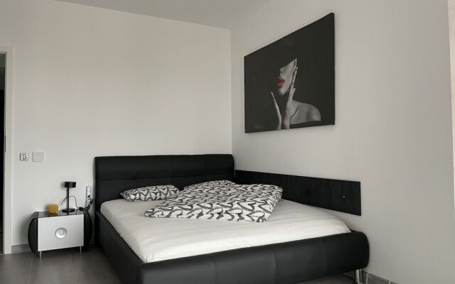 Beautiful Penthouse Lakeview W18