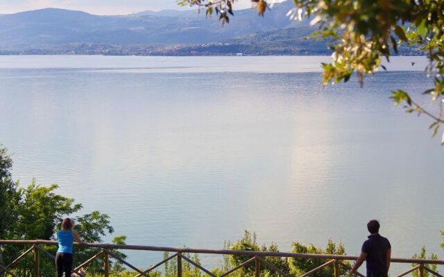 Borgo Syrah Frantoio 4