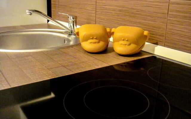 Apartment Iva
