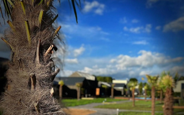 Palmes.pirmas.sezonas