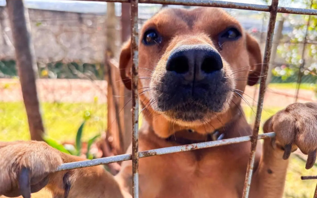 Pousada Vale das Primaveras