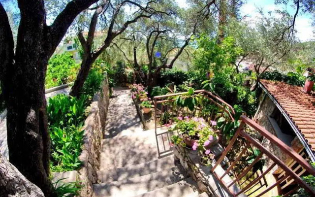 Elena Guest House