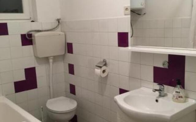 Room Bioci