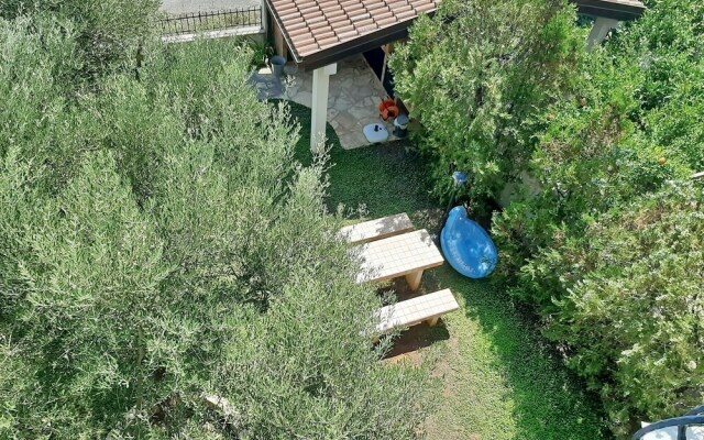 Apartments Trstenica