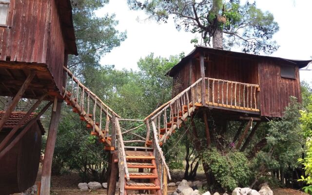 Jungle Bells Hostel