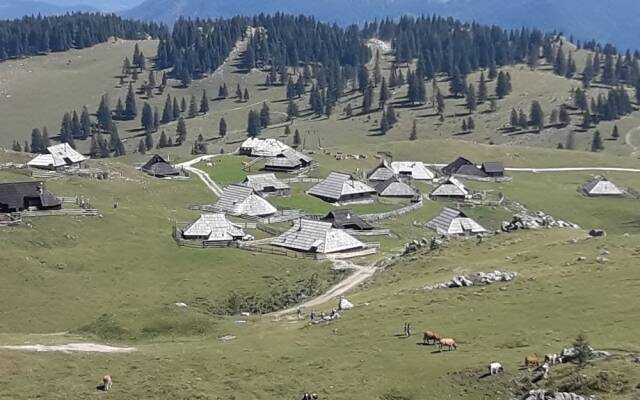 Apartments Akacijev Izvir