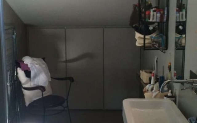 Rinidia Siena Celso Cittadini Grande