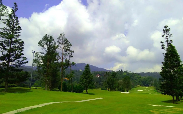 Golden Hill 1 Room Apt at Night Market