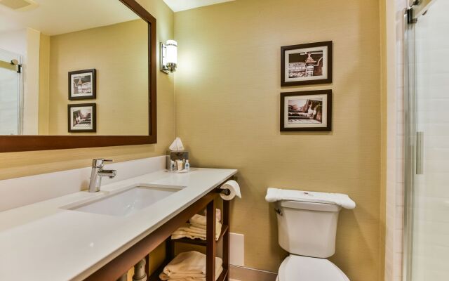 Comfort Suites Downtown