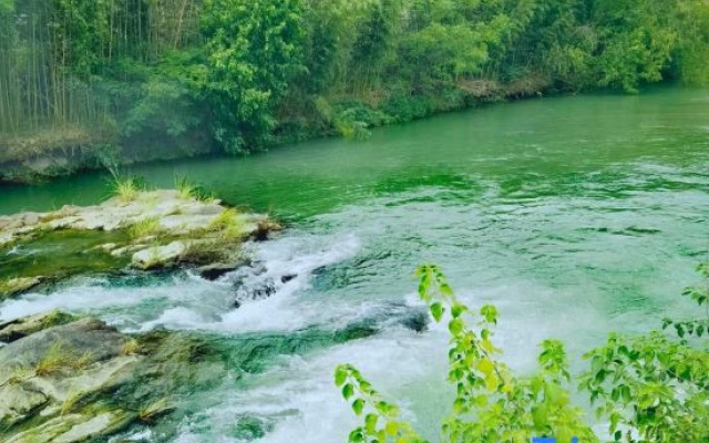 Zhixiju Pillow Water Homestay