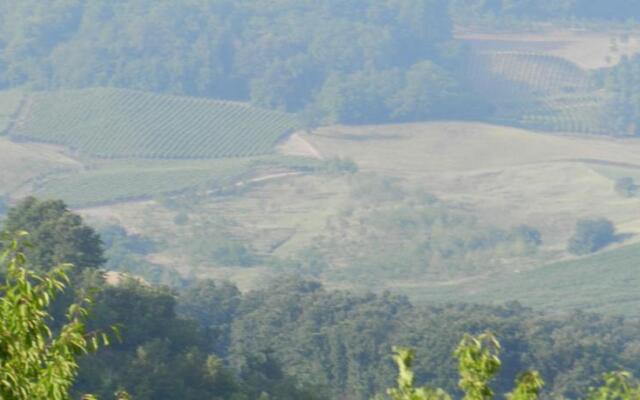 Casa del Bosco in Collina