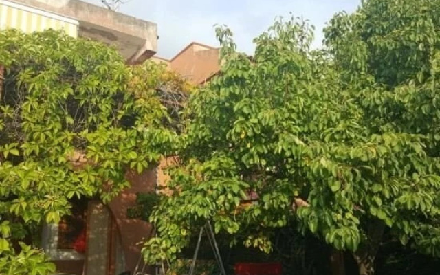 Villetta Praia a Mare