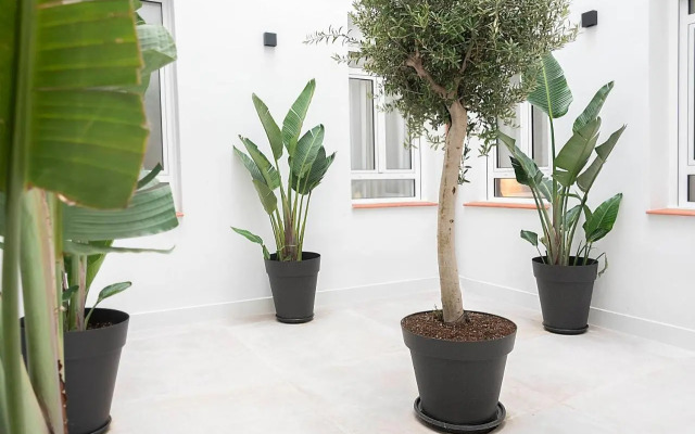 Woohoo Rooms Boutique Luna