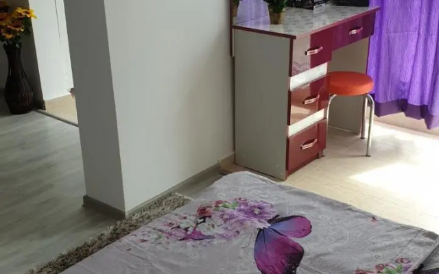 Apartament Razvan