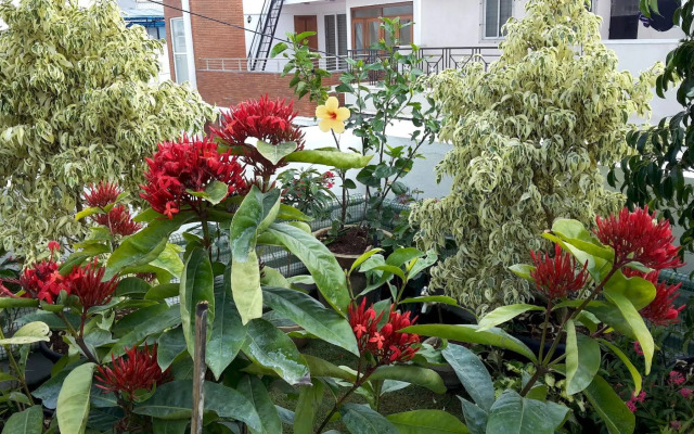 Ixora Suites