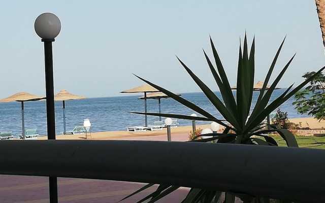 Chalets in Cecelia Resort