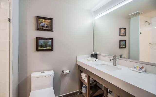 Comfort Suites Columbia I-65