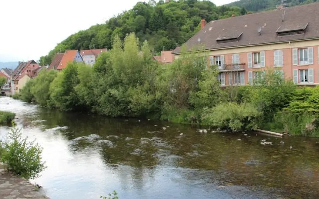 Studio Petit Rangen Alsace