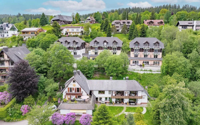 black forest apartments titisee