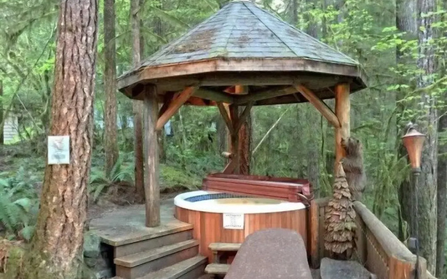 Mt Baker Lodging Cabin 25 - Sleeps 6