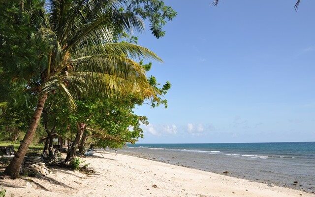 Jungle Beach Resort