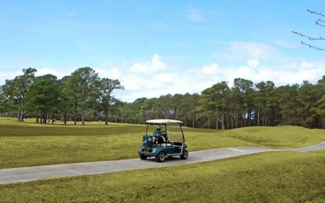 Magnolia Pointe 203 4833P 2 Br condo by RedAwning