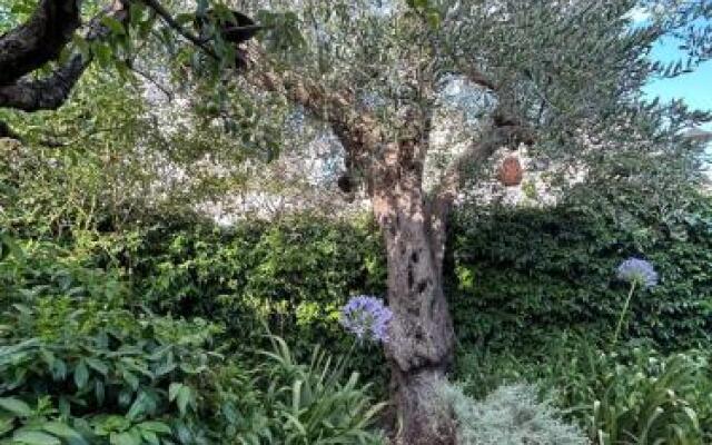 Trulli Madia Luxury Location