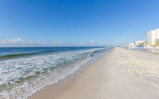 Tropical Winds by Hosteeva