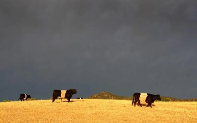 Peppertree Hill Luxury Farm Accommodation