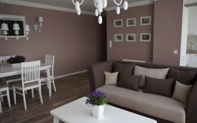 Central Apartament