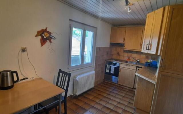 Grand appartement 6 personnes, surf, ski et randonnées