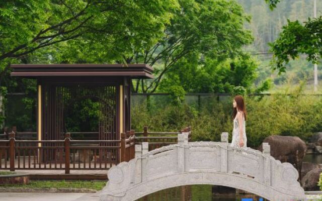 Nanshan Bamboo Sea Ann Diffuse cloud mu homestay