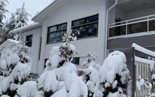 Revontuli Apartments
