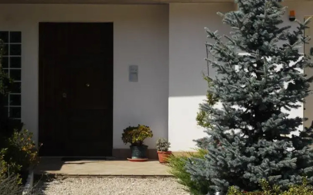 Buena Vista B&B