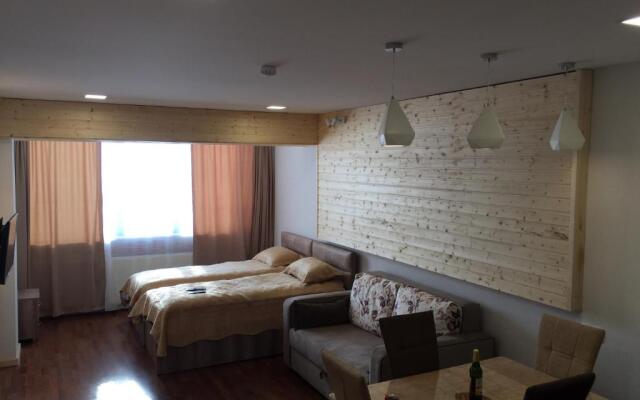 Apartment New Gudauri IV
