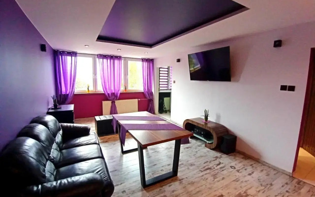 Nastrojowe Mieszkanie Plac Krakowski Gliwice 60m2