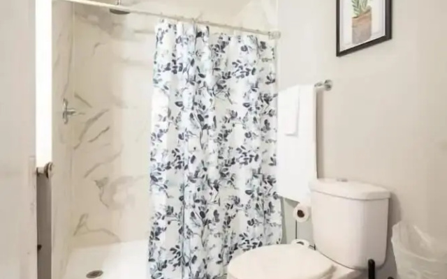 Historic Pet-Friendly Home in Downtown