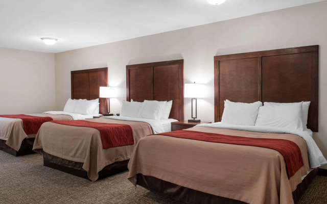 Comfort Inn Bozeman near University