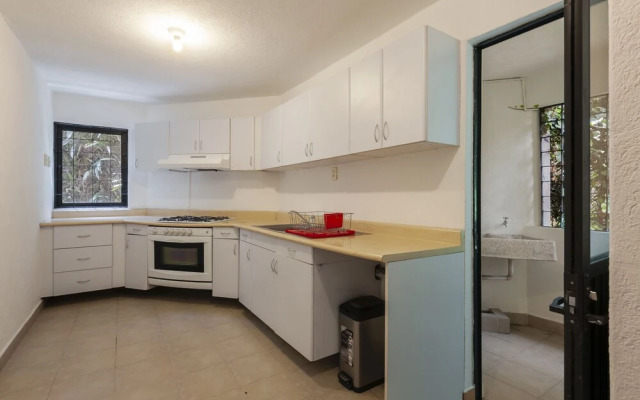 Beautiful apartment Ahuehuetes
