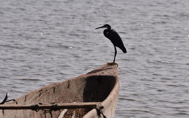 Ecolodge de Simal