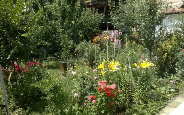 Guest House Varbanov 2