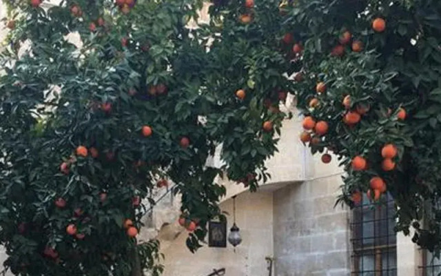Pinarbasi Konagi Butik Otel