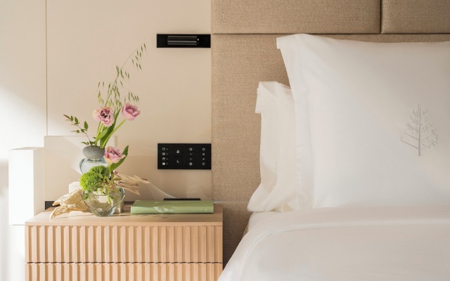 Premier Double room (풀 더블 침대) 사진 3