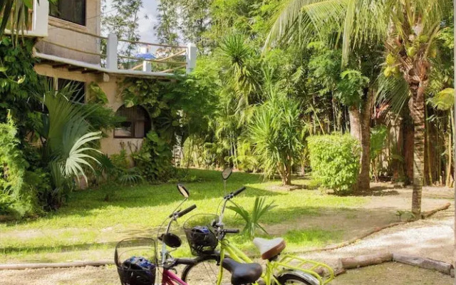 Mini Pini Birdwatching and Cenote Loft4 you Only