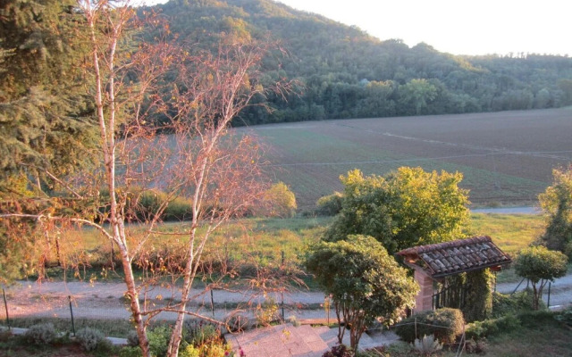 Tana Del Tasso